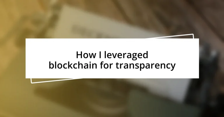 How I leveraged blockchain for transparency