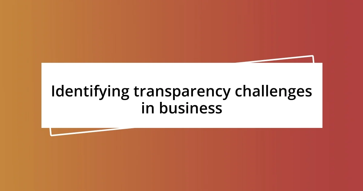 Identifying transparency challenges in business