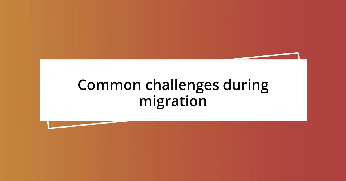 Common challenges during migration